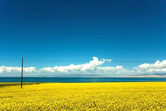 走進(jìn)青海湖